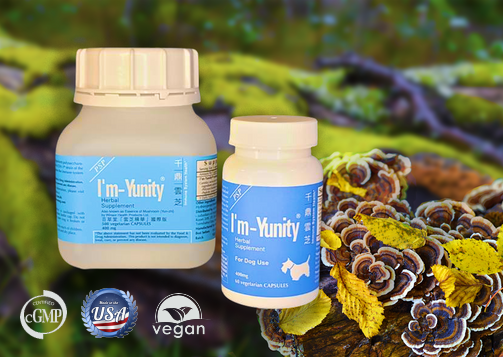 I'm-Yunity for Dogs imyunity coriolus versicolor extract
